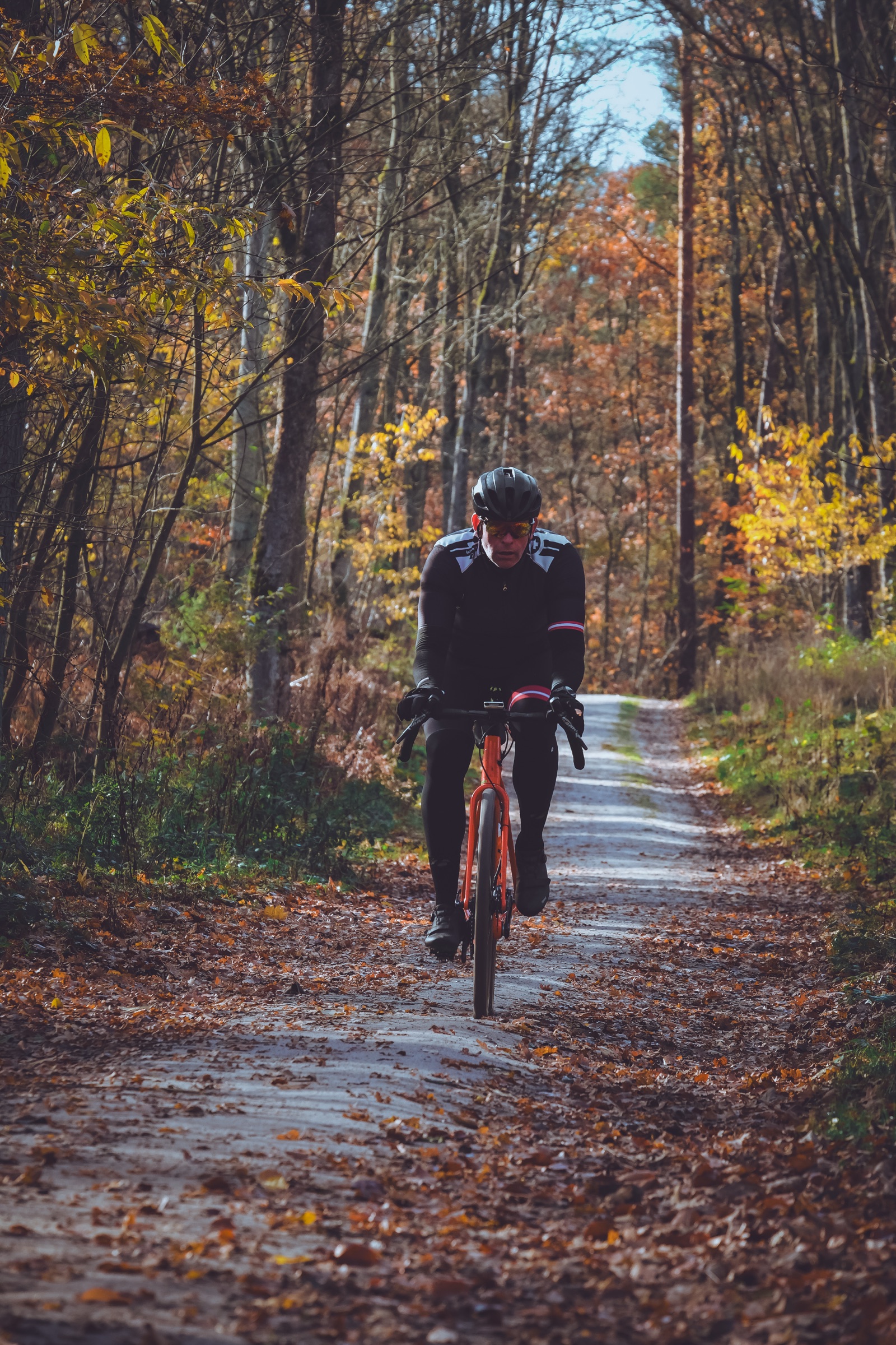 Herbst — Fahrer auf Waldpfad