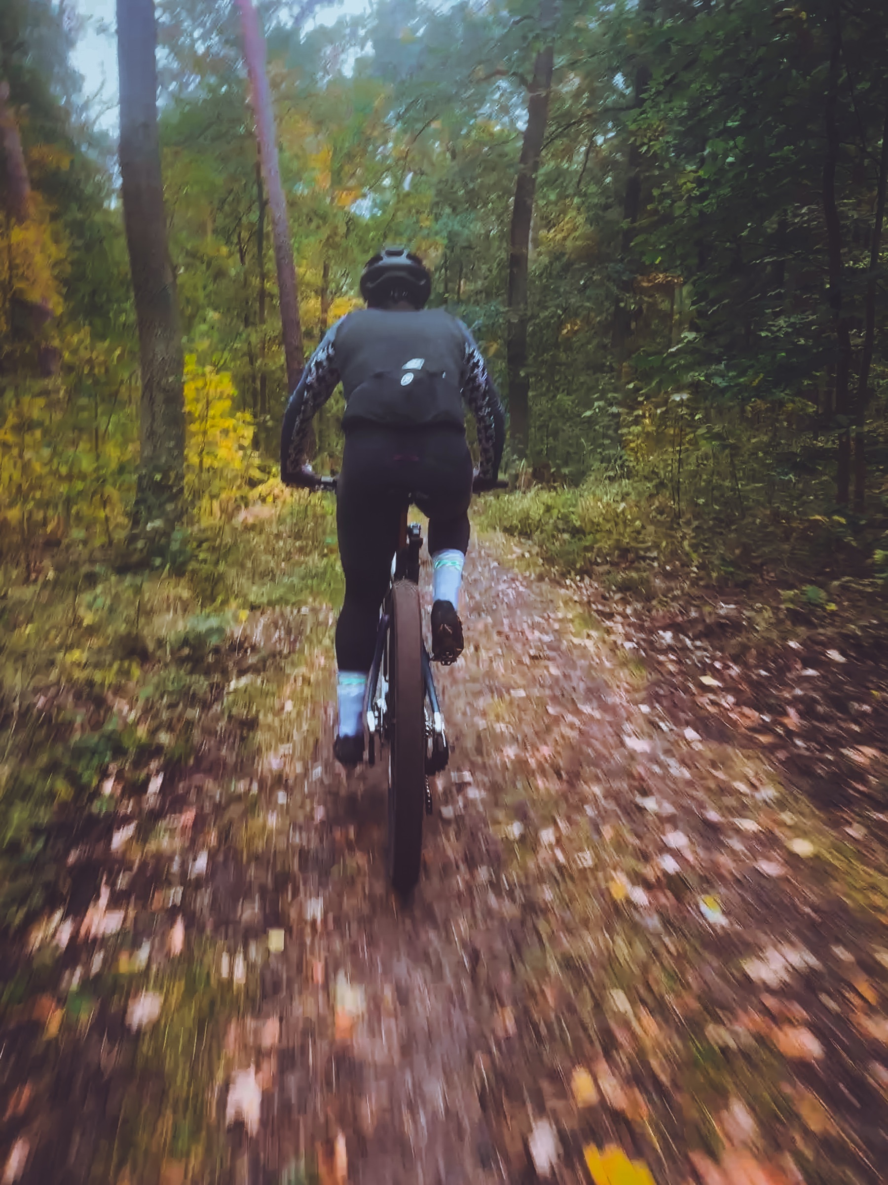 Herbst — Oktoberwald, Bewegung