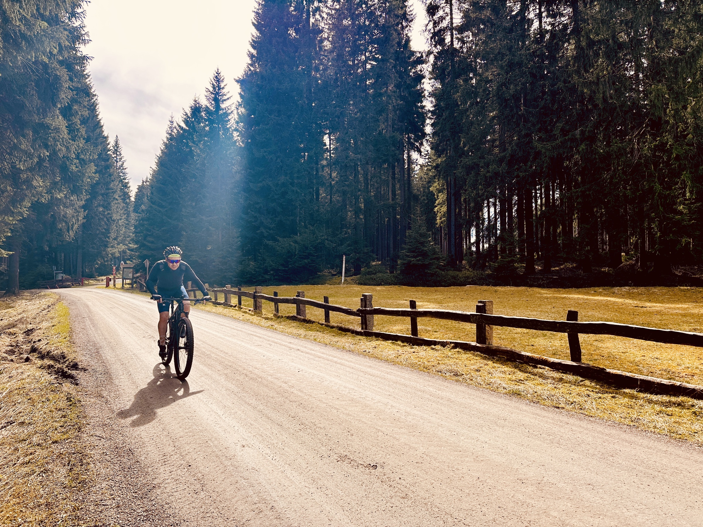 Frühling — Schotterweg im Frühlingswald