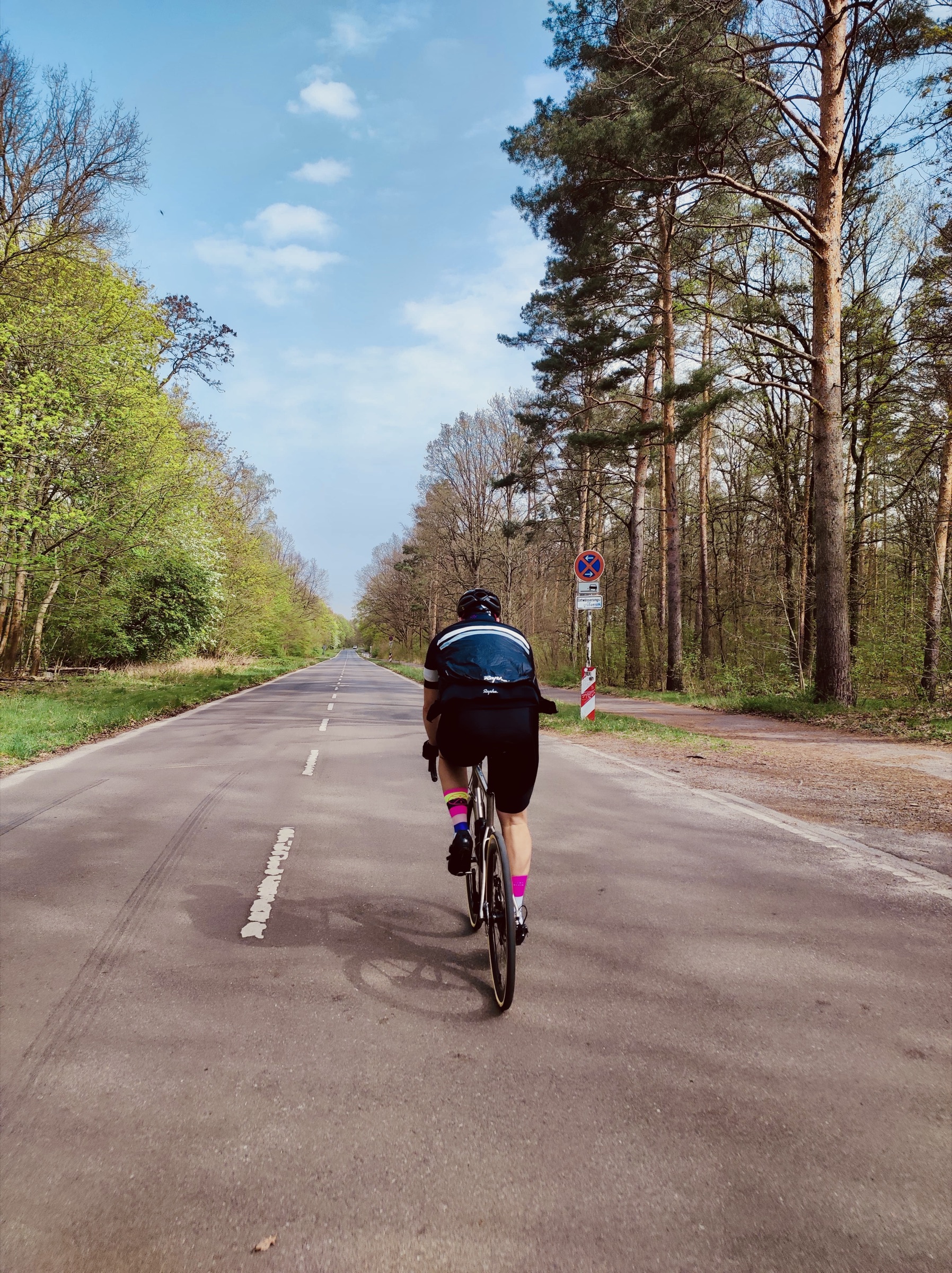 Frühling — Allee mit erstem Grün
