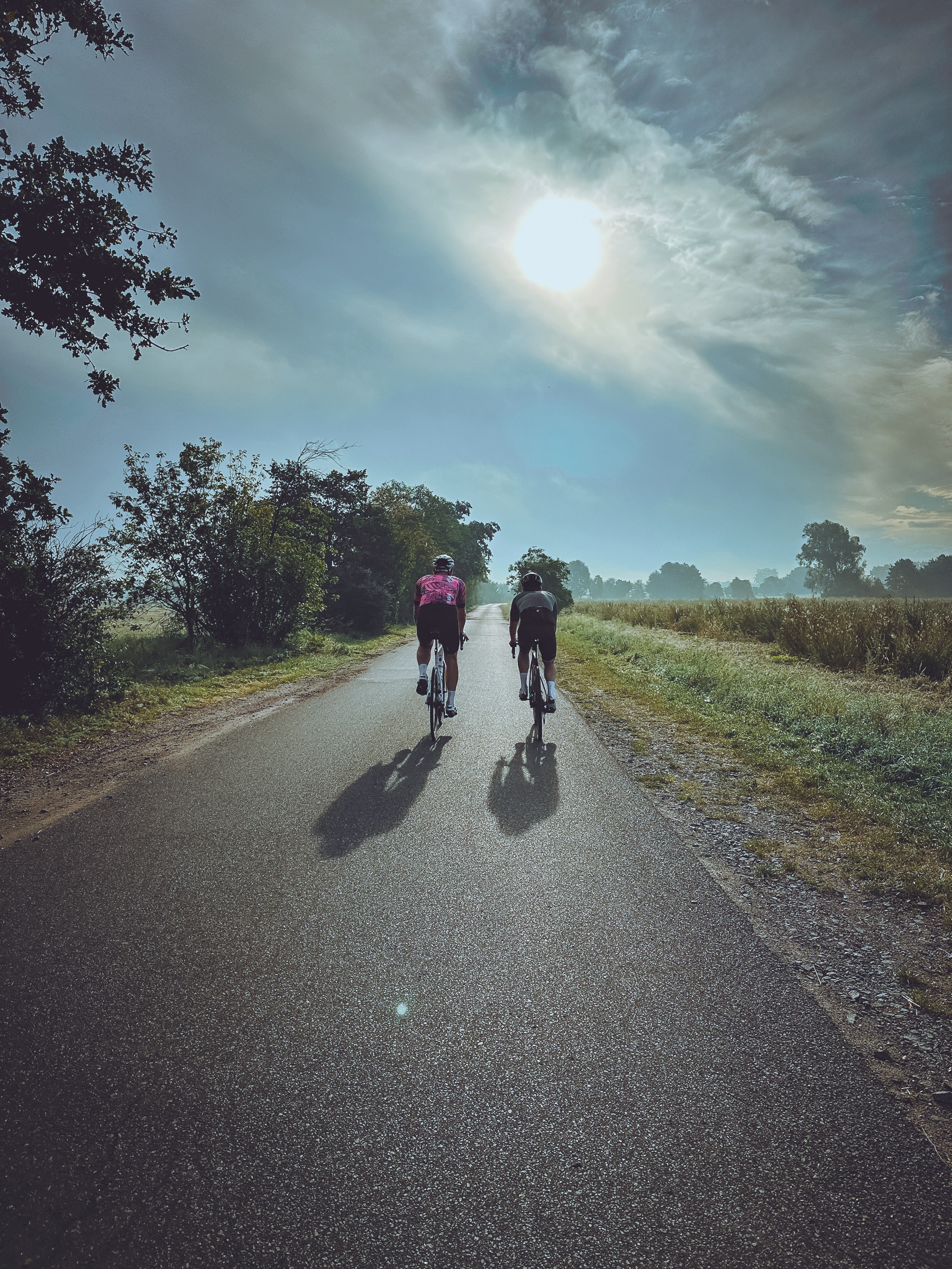 Sommer — Gegenlicht und Schatten