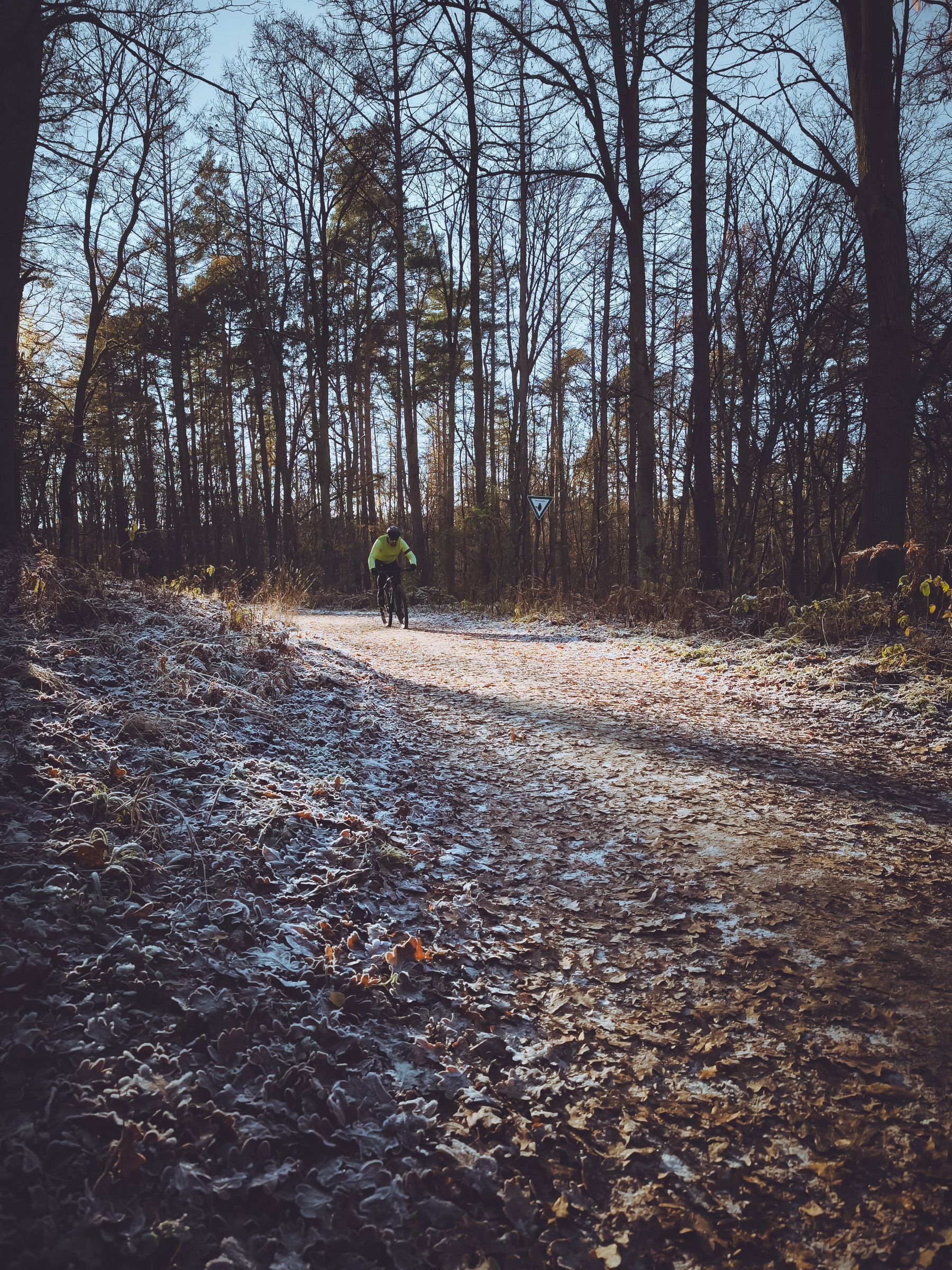 Winter — Frostiger Waldpfad