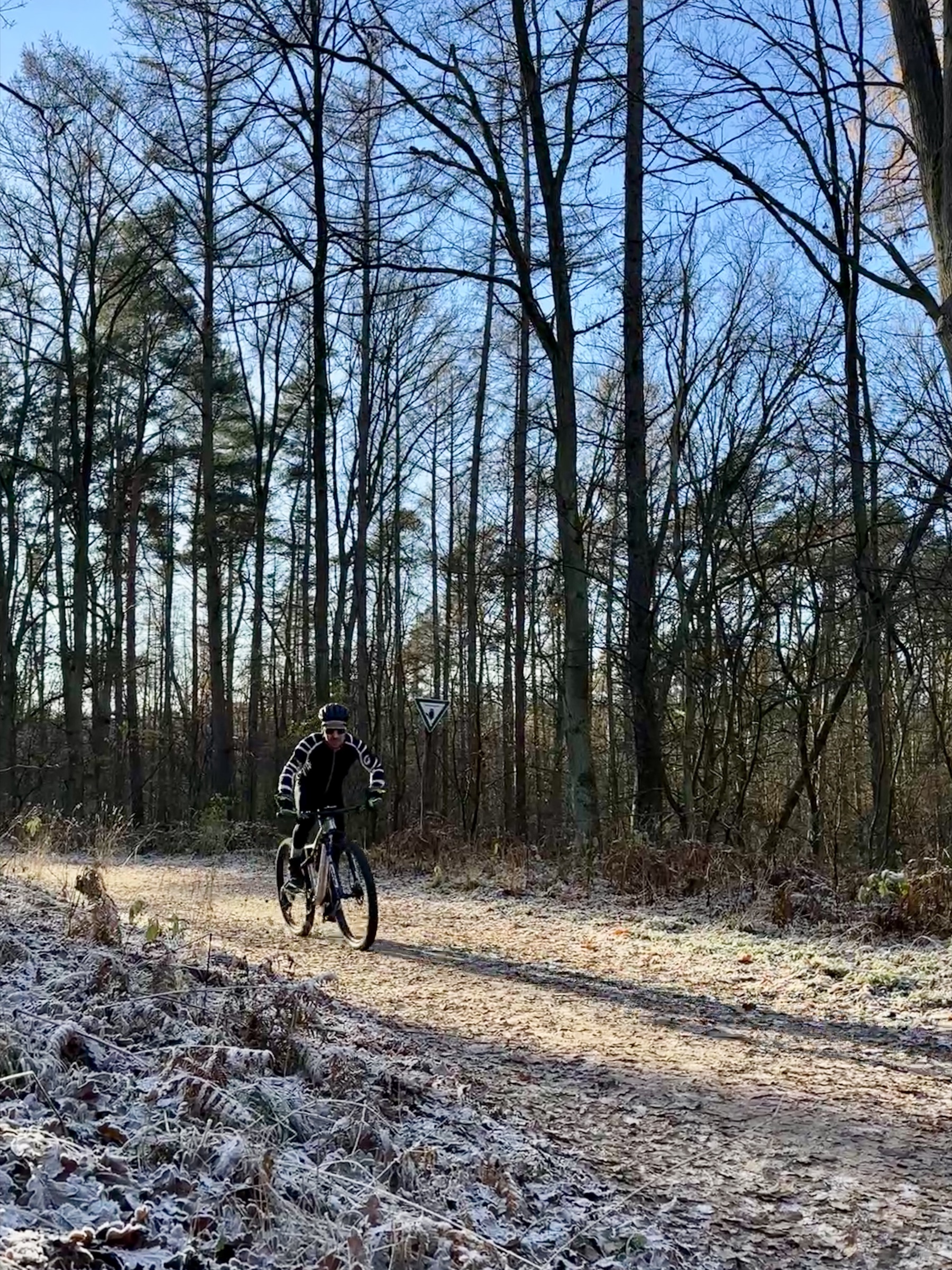 Winter — Frost auf dem Waldweg