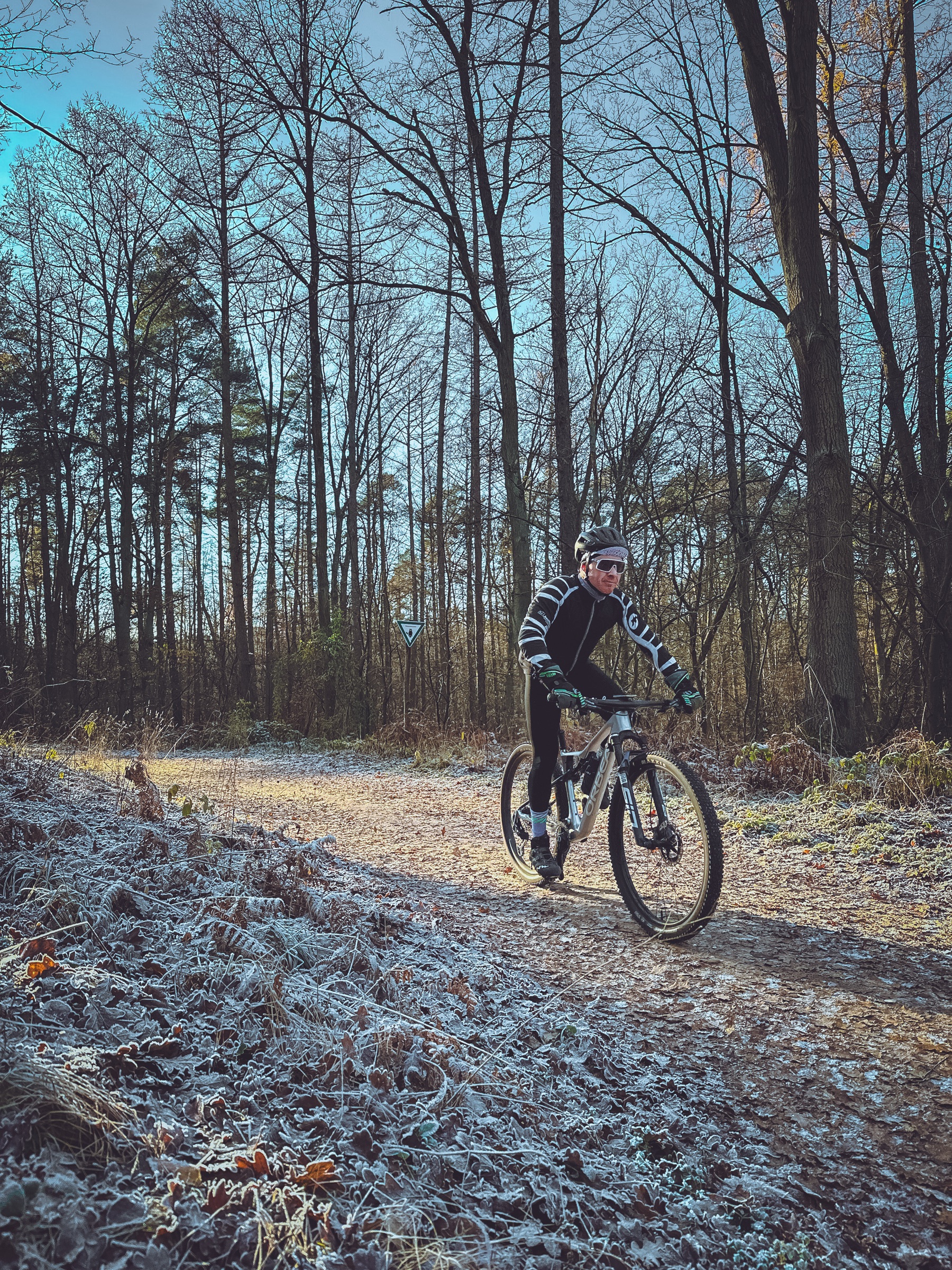 Winter — Klarer Wintertag im Wald