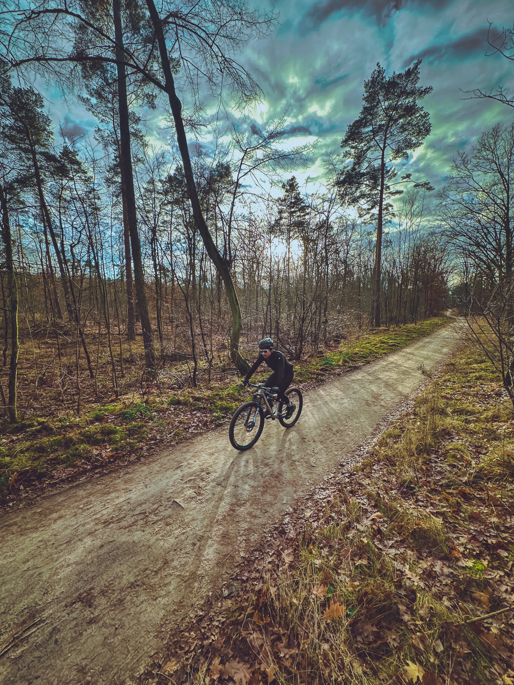 Winter — Schotterweg im kahlen Wald